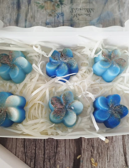 Box Fondants Monoï Vanillé Candelas d'Yssi