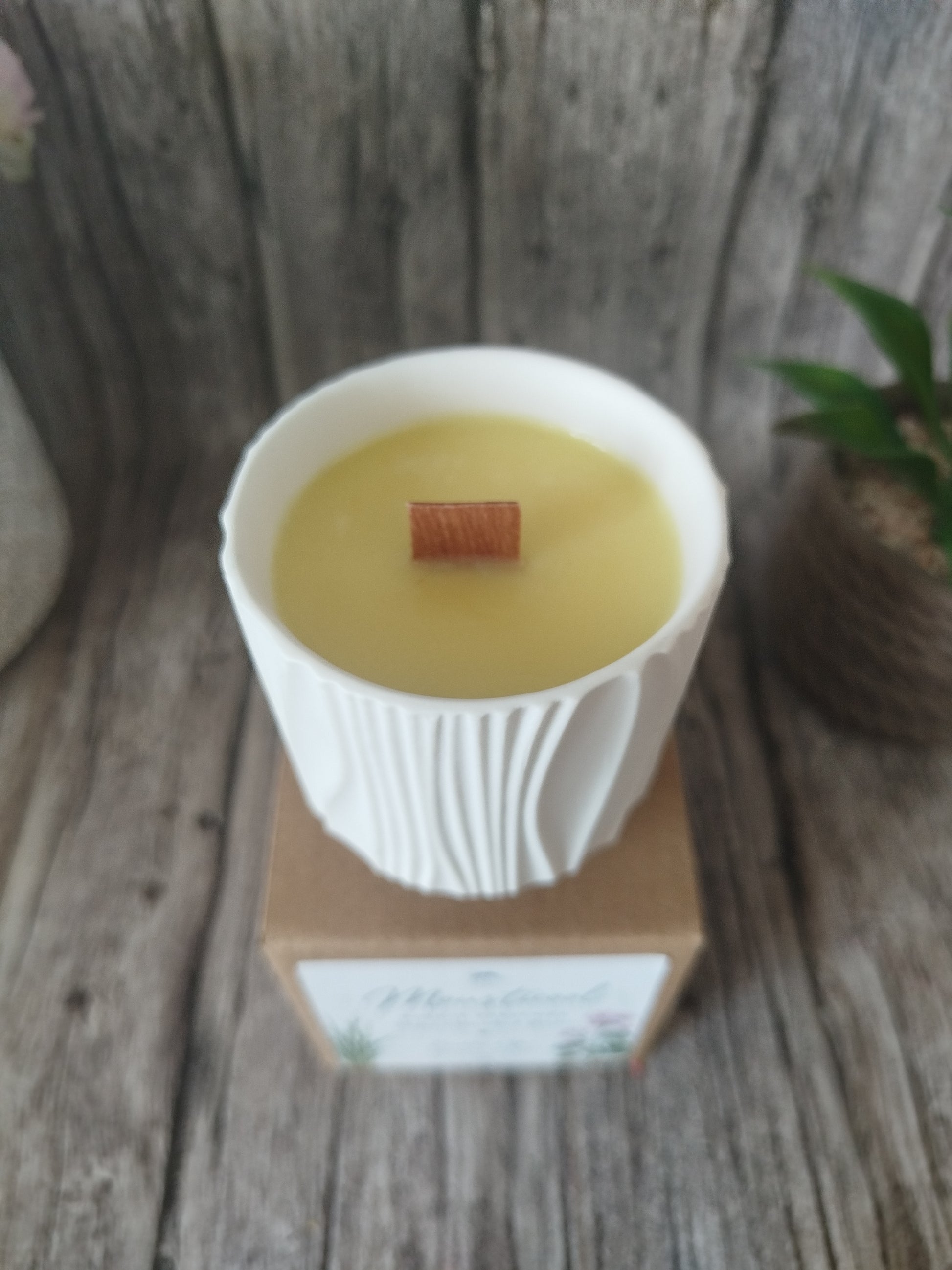 Bougie Mousticool Candelas d'Yssi
